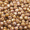 Luster Coating